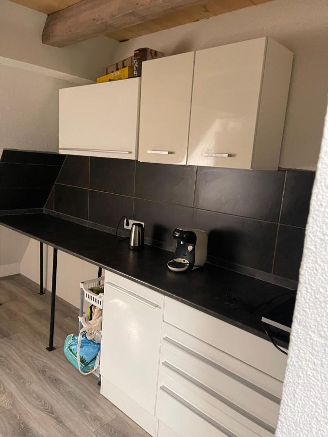 Buergerstueble Apartment Donaueschingen Ngoại thất bức ảnh